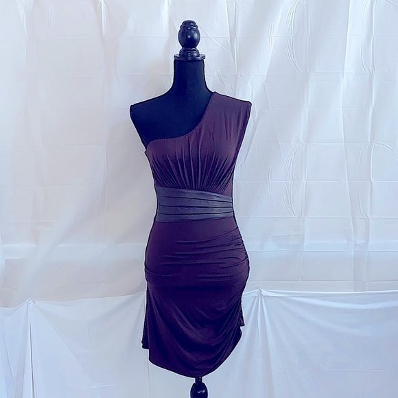 Sky One Shoulder Asymmetrical Ruched Dress Size M - Picture 1 of 6
